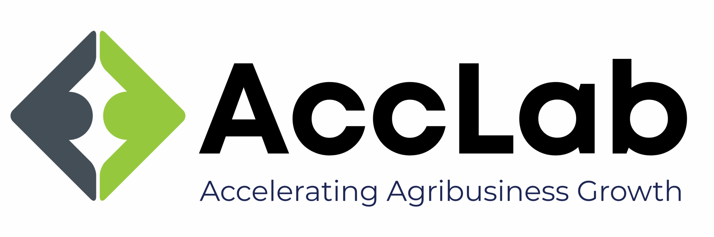 AccLab Logo